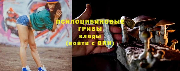 альфа пвп Заволжск