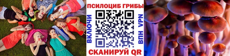 Псилоцибиновые грибы прущие грибы Вятские Поляны